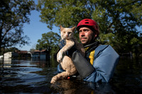 Animal Welfare
